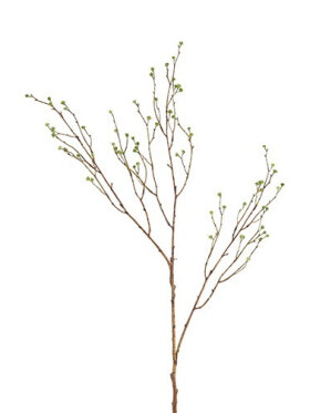 Mandstro gren