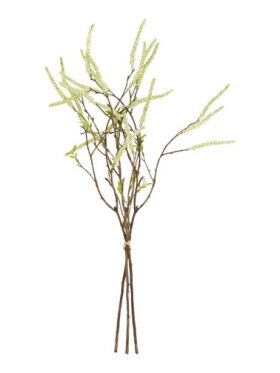 Barbara - bundt 3 stk, Hassel gren Barbara - bundt 3 stk, Hassel gren