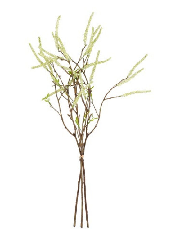 Barbara - bundt 3 stk, Hassel gren