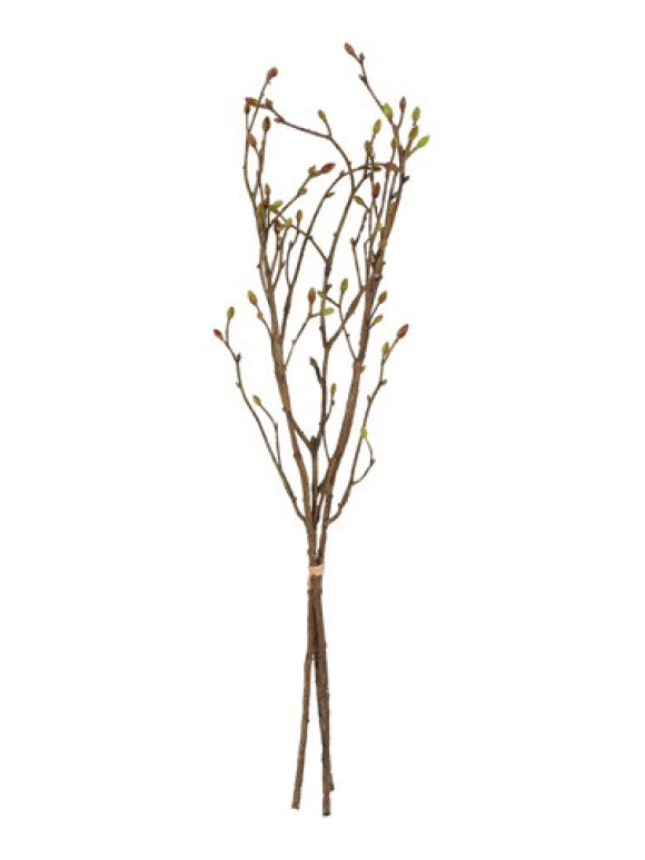 Barbara - brundt 3 stk, Tilia