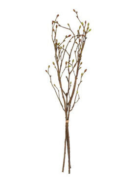 brundt 3 stk, Tilia brundt 3 stk, Tilia