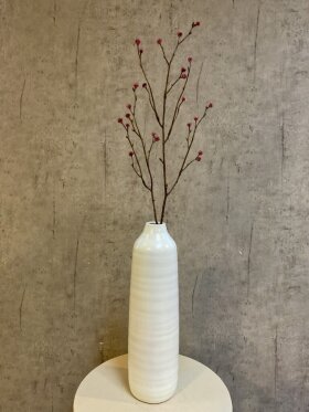 Barbara - Mandstro, Gren