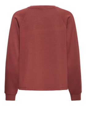fransa-fraurora-19-sweatshirt-brun 