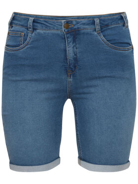 FP-Vilja Pam 1, Short