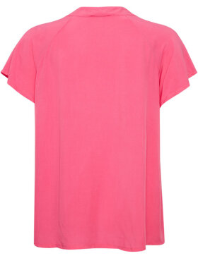 Sorbet - SB-Dagmar, Top